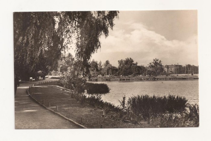 SG8 - Carte Postala - Germania, Zwickau am Schwanensteich , Circulata 1959