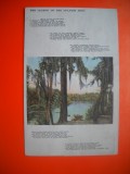 HOPCT 8648 THE LEGEND OF THE SPANISH MOSS -SUA-AMERICA DE NORD-NECIRCULATA