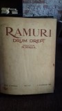 RAMURI - Drum drept, revista literara1924 - DIRECTOR N. IORGA