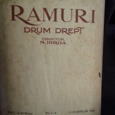 RAMURI - Drum drept, revista literara1924 - DIRECTOR N. IORGA