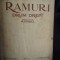 RAMURI - Drum drept, revista literara1924 - DIRECTOR N. IORGA