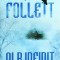Ken Follett - Alb Infinit (2007)