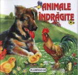 Cumpara ieftin Animale Indragite Pliata Gd, - Editura Flamingo
