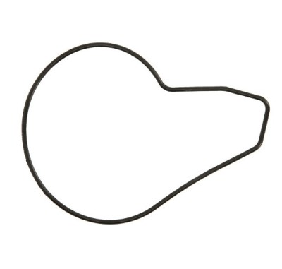 Garnitura (o-ring) pompa apa Kawasaki ER-6F 650 (06-17) - KLE 650 Versys (06-23) - Vulcan 650 S (15-23) - Z 650 (17-24) foto