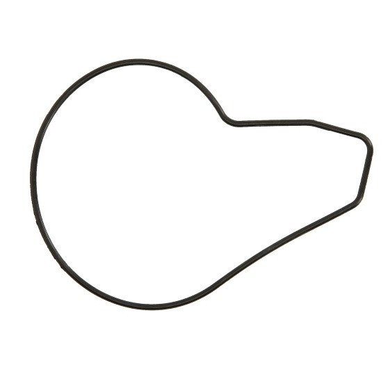 Garnitura (o-ring) pompa apa Kawasaki ER-6F 650 (06-17) - KLE 650 Versys (06-23) - Vulcan 650 S (15-23) - Z 650 (17-24)
