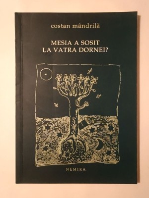 Costan M&amp;acirc;ndrilă (dedicație pt. Petru Romoșan) - Mesia a sosit la Vatra Dornei? foto