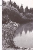 AMS - ILUSTRATA 1241, SAVIRSIN - IN PARCUL SANATORIULUI, ANUL 1965