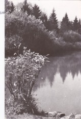 AMS - ILUSTRATA 1241, SAVIRSIN - IN PARCUL SANATORIULUI, ANUL 1965