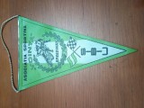 FANION ASOCIATIA SPORTIVA VOINTA SIBIU
