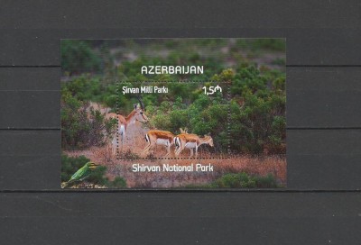 AZERBAIJAN 2022 FAUNA DIN PARCUL NATIONAL SHIRVAN CAPRIOARE PASARI foto