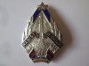 Rară! Insignă originala Radist de Onoare RSR(mai rara decat RPR) foarte frumoasa, Romania 1900 - 1950
