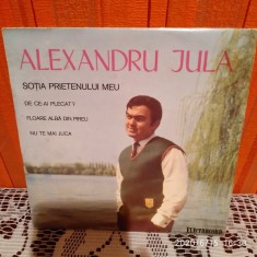 -Y- Alexandru Jula ?? So?ia Prietenului Meu VINIL 7 &amp;quot; foto