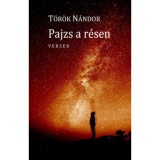 Pajzs a r&eacute;sen - T&ouml;r&ouml;k N&aacute;ndor