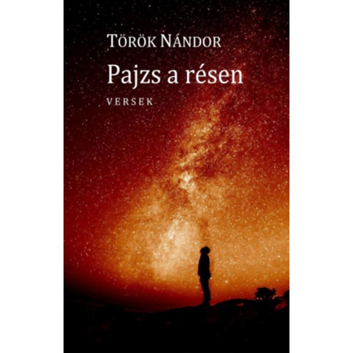 Pajzs a r&eacute;sen - T&ouml;r&ouml;k N&aacute;ndor