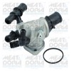 MEAT &amp; DORIA 92491 termostat,lichid racire