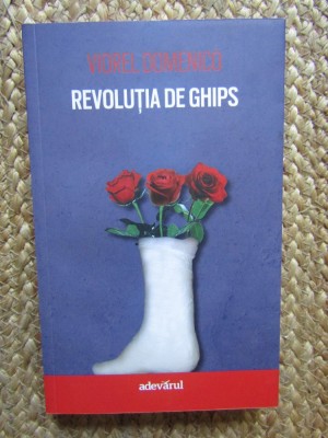 Viorel Domenico - Revolutia de ghips - 22 decembrie 1989, intre orele 10 si 16 foto