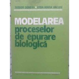 MODELAREA PROCESELOR DE EPURARE BIOLOGICA-T. OGNEAN, LYDIA-MARIA VAICUM-341377