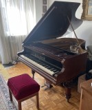 Pian - Franz Wirth &ndash; Model 5, Serie 9807 &ndash; Viena