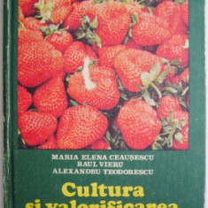 Cultura si valorificarea capsunului – Maria Elena Ceausescu