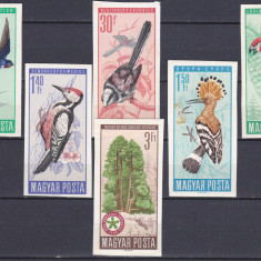 DB1 Fauna Pasari Ungaria 1966 Nedantelate 6 v. MNH