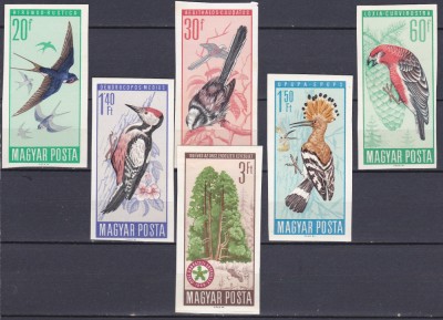 DB1 Fauna Pasari Ungaria 1966 Nedantelate 6 v. MNH foto