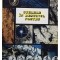 M. Leoveanu - Stelele in destinul nostru (Editia: 1992)