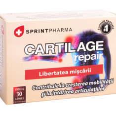 Supliment alimentar pentru protectia cartilajelor Cartilage Repair, 30 capsule, Sprint Pharma