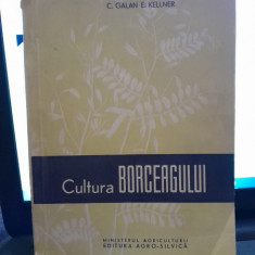 Cultura Borceagului,C. Galan E. Kellner