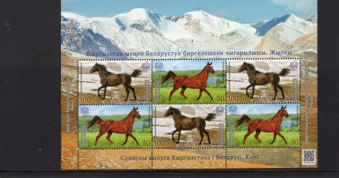 KYRGYZSTAN 2017 FAUNA ANIMALE DOMESTICE CAI