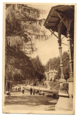 AD 886 C. P. VECHE - SLANIC MOLDOVA -ALEIE DIN PARC - RPR foto