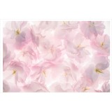 Fototapet Flori de Cires