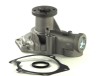 Pompa apa HYUNDAI SANTA FE I (SM) (2000 - 2006) THERMOTEC D10510TT