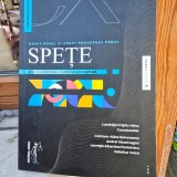 Drept civil si Drept procesual civil. Spete pentru admiterea la INM/Magistratura - Luminita Cristiu Ninu