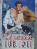 IN NUMELE IUBIRII-JOAN BRAMSCH-220299