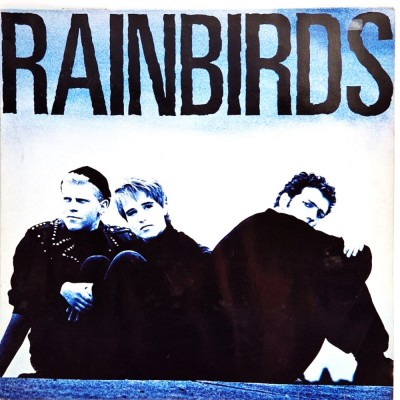 Rainbirds - Rainbirds _ VG+ / VG+ _ vinil LP _ Mercury, Germania, 1987 rock alt foto