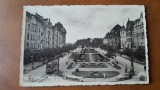 Timisoara, Bd.Regele Ferdinand, perioada interbelica
