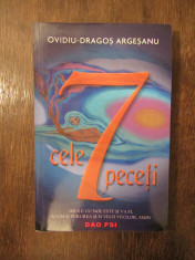 CELE 7 PECETI - OVIDIU-DRAGOS ARGESANU foto