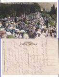 Sinaia - Balciul de Sfanta Maria - animata, RR