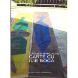 Carmen Mihalache - Carte cu Ilie Boca - dedicatie autoare, ilustrata de Ilie Boca - 137026