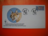 HOPCT PLIC FDC S NR 527 FAUNA FELINE AFRICA DE SUD EST 1986 - -NECIRCULAT