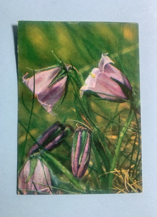 Calendar 1986 ADAS