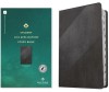 NLT Student Life Application Study Bible, Filament Enabled Edition (Red Letter, Leatherlike, Charcoal Gray Striped, Indexed)