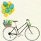 Fundal fotografic din autocolant - Bicicleta