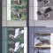 RECORDURILE PASARILOR,SERIE CU TABS IN PERECHE,2018,MNH,ROMANIA.