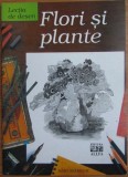Flori si plante. Lectia de desen