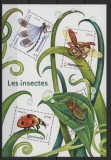 FRANTA 2018 FAUNA INSECTE