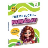 Fise De Lucru De Numarat, - Editura Gama
