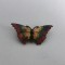Brosa ilustrand un fluture in cromatica vie