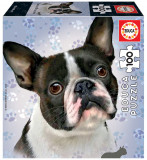 Puzzle 100 de piese - French Bulldog | Educa