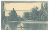 1004 - BUCURESTI, Cismigiu Lake, Litho, Romania - old postcard - unused, Necirculata, Printata